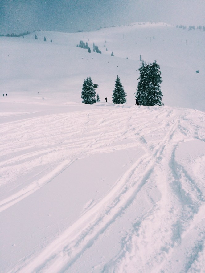 Vail's Legendary Back Bowls