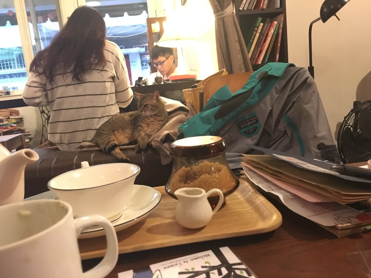 The First Cat Cafe in the World