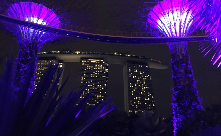 Marina Bay Sands at Night