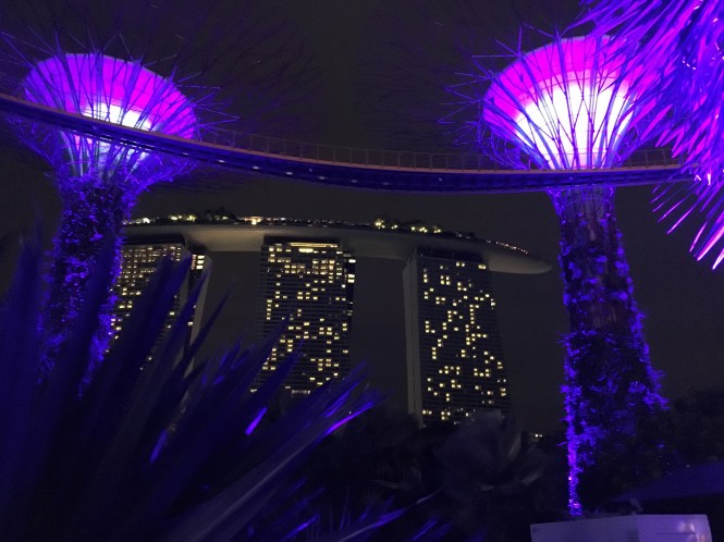 Marina Bay Sands at Night