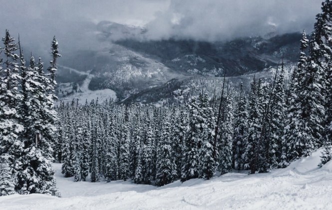 thumbnail_A4C8F160-E949-4F9B-8DC7-C27AF4080E3F