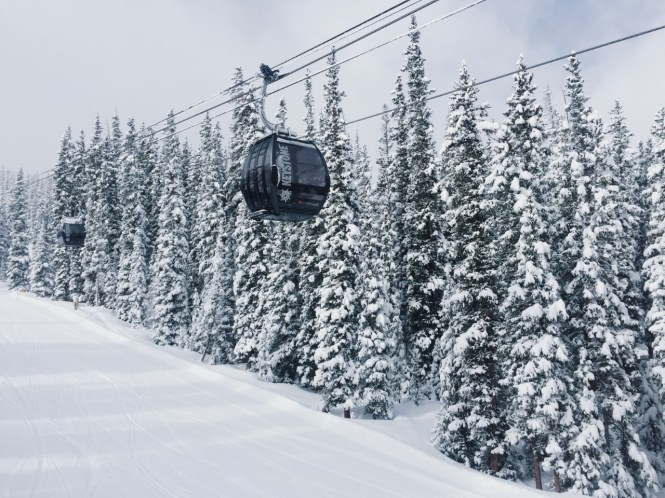 thumbnail_AC060B54-665A-464B-B157-FBFE3153DCB4