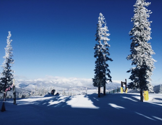 thumbnail_CB73F815-48B1-468E-9427-97628B839D54