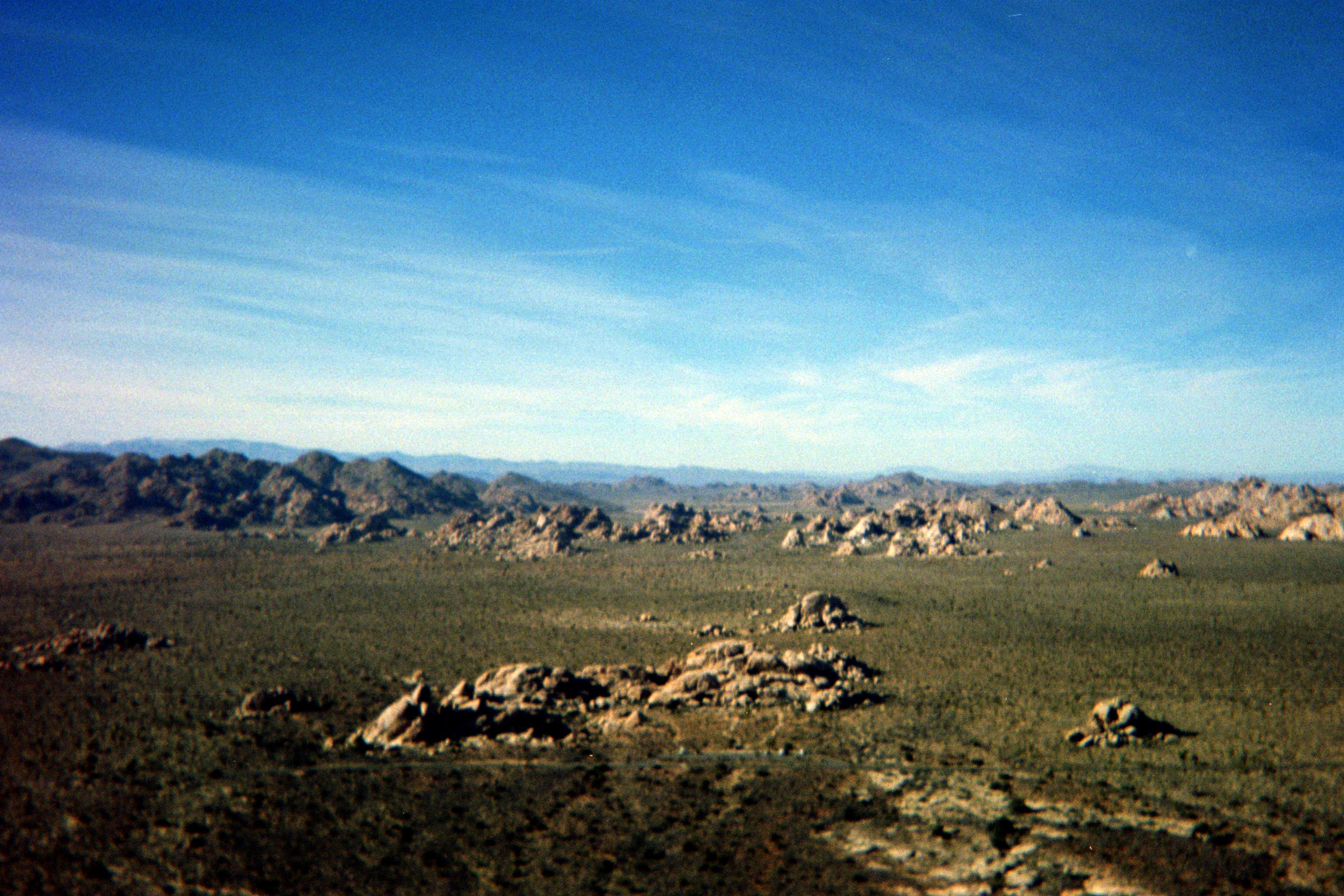 Joshua Tree National Park Film Picture