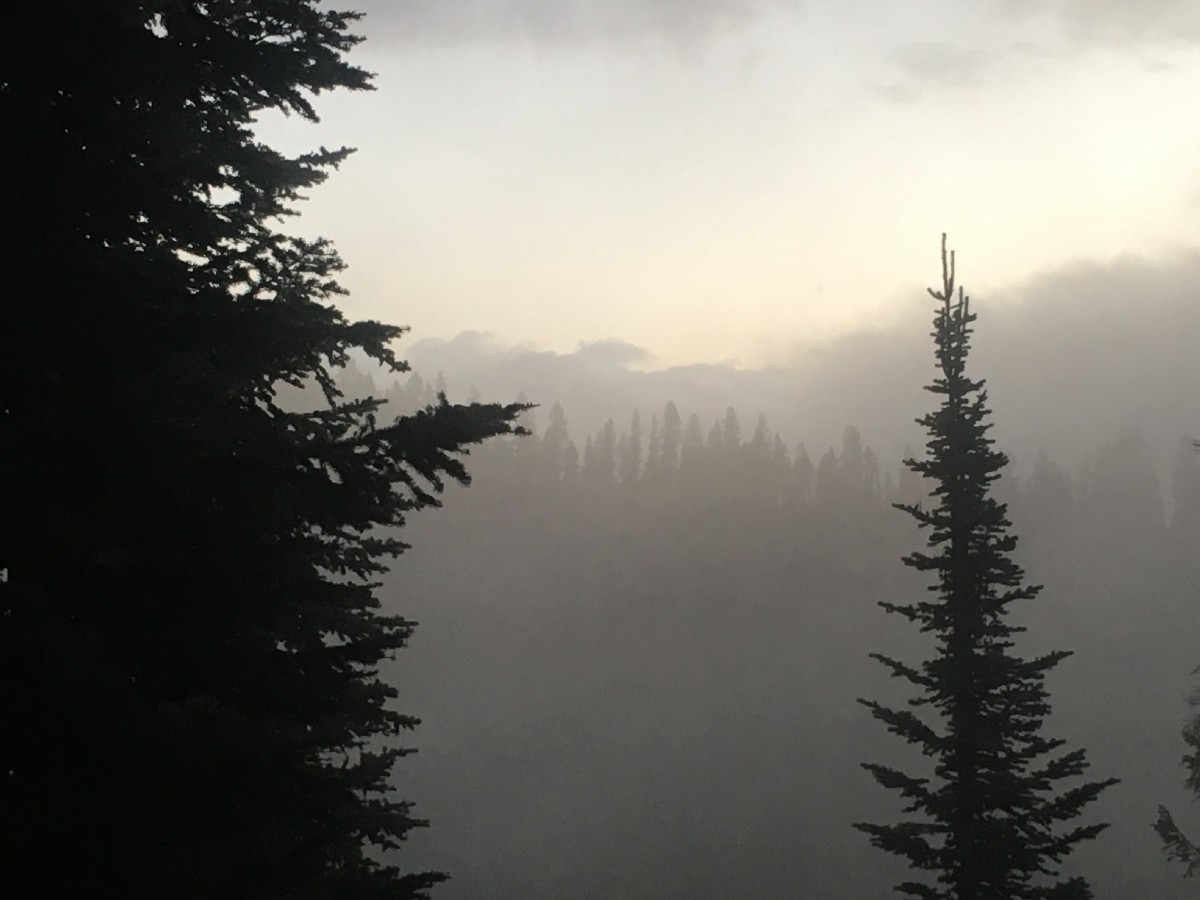 Grand Teton Pictures