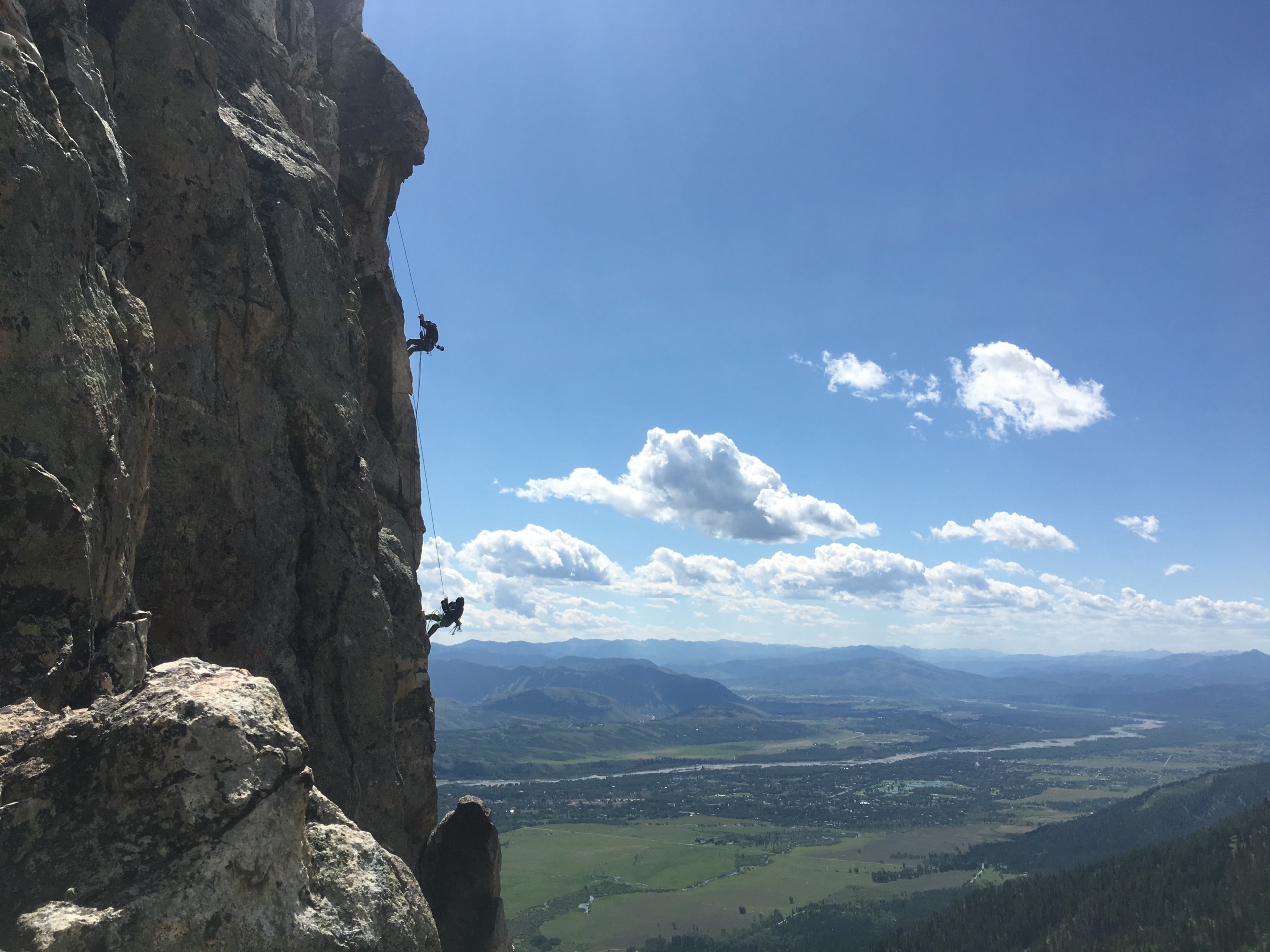 Simul-rappel silhouettes